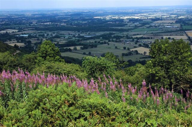 Malvern views (16)