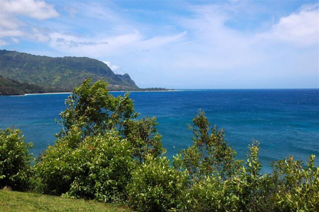 Princeville Hotel scenery (6)