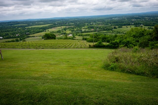 Dirt Farm Brewery views 2