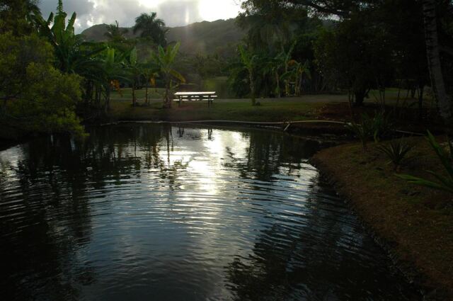 Sunlit lagoon