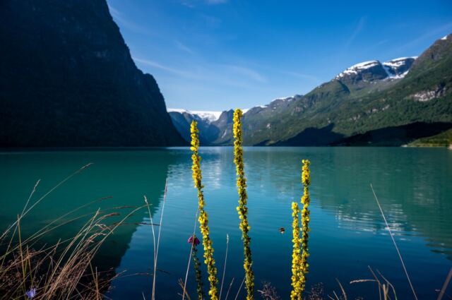 Oldevatnet - glacial lake views 05