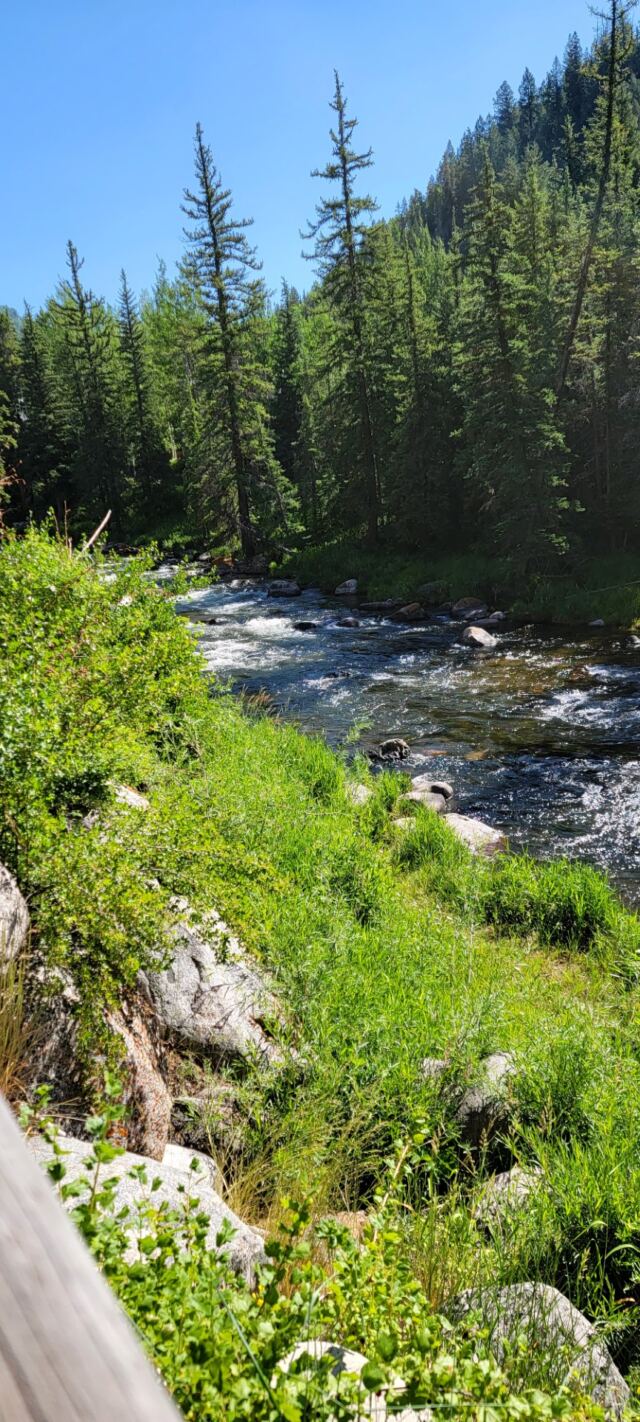 Gore Creek hiking views 10