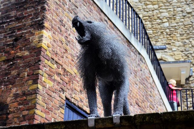 Wire Tower baboons (1)