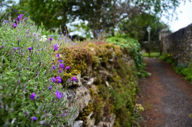 Pathway to St. Eadburgha's Church (5)