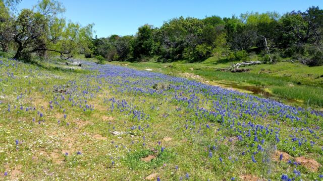 Willow Loop valley 15