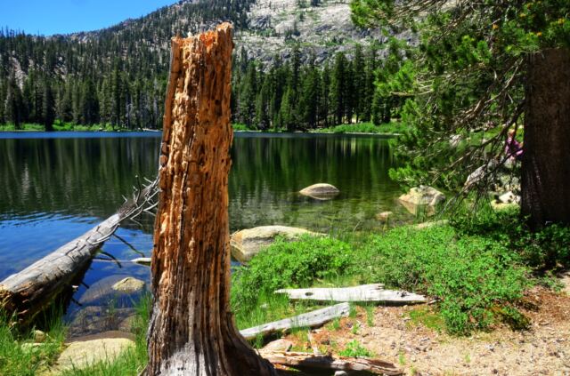 Angora Lake 09