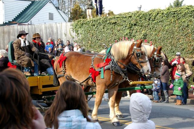 Horse-drawn carriage