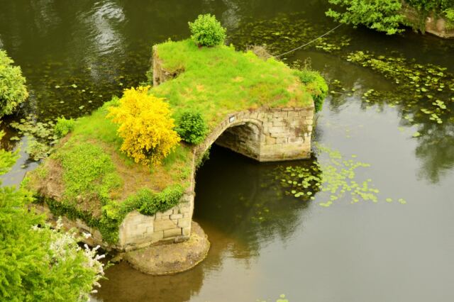 old-overgrown-bridge-segments-across-river-avon-2