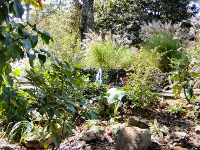 fountain-at-crescent-hotel-1-