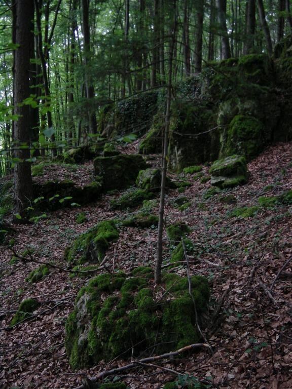 small-tree-from-mossy-rock-1