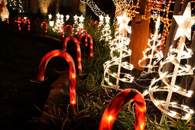 trees-and-candy-canes
