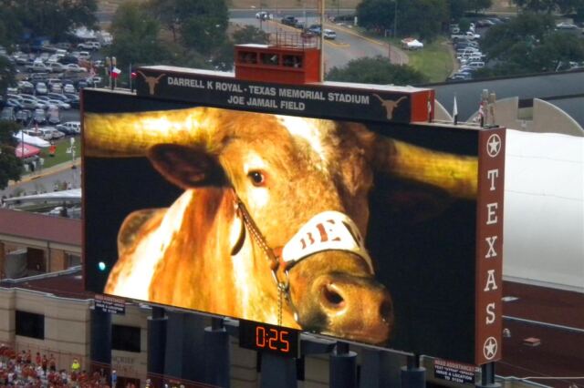 Bevo is The Man