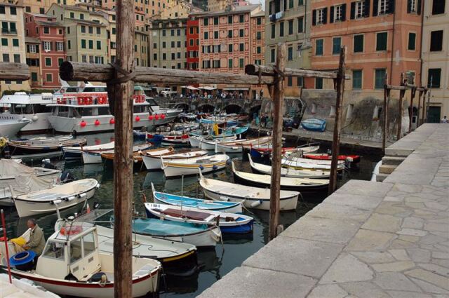 Camogli harbor
