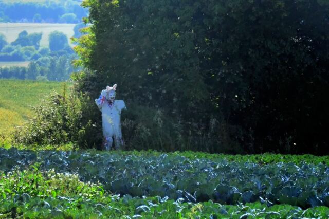 Creepy scarecrow guy thing eek