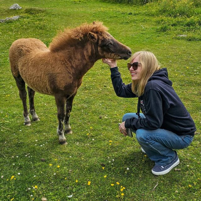 The Shetland Pony Experience 46