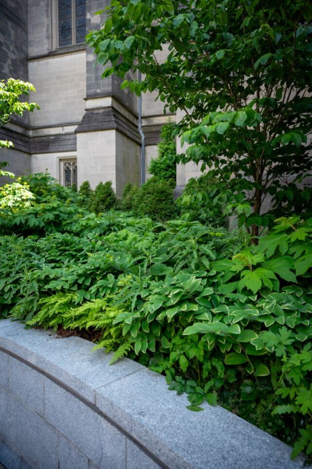 All Souls Memorial Garden 5
