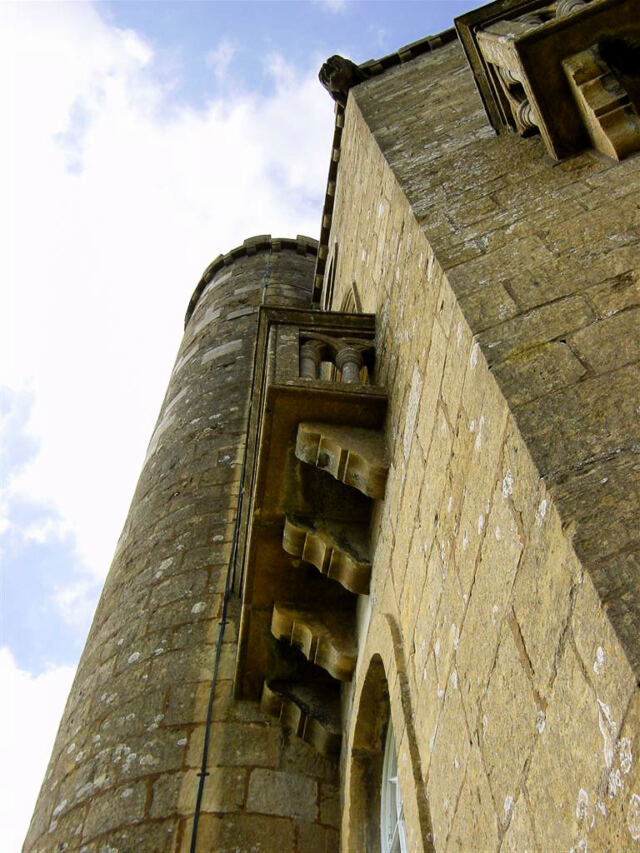 Looking up (1)