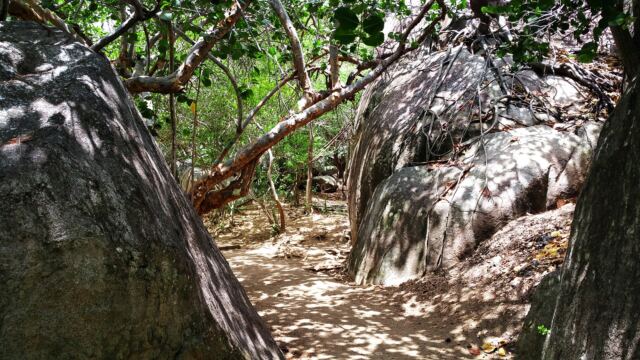 Back up the path from The Baths