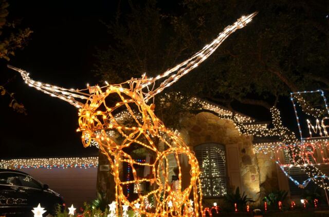 hook-em-lawnbevo