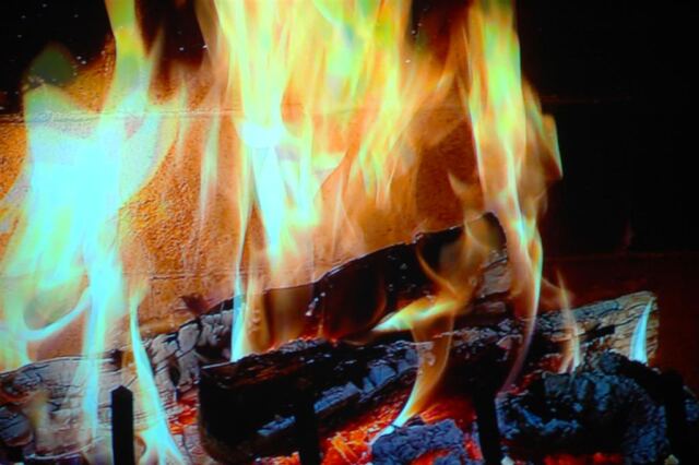 yule-log