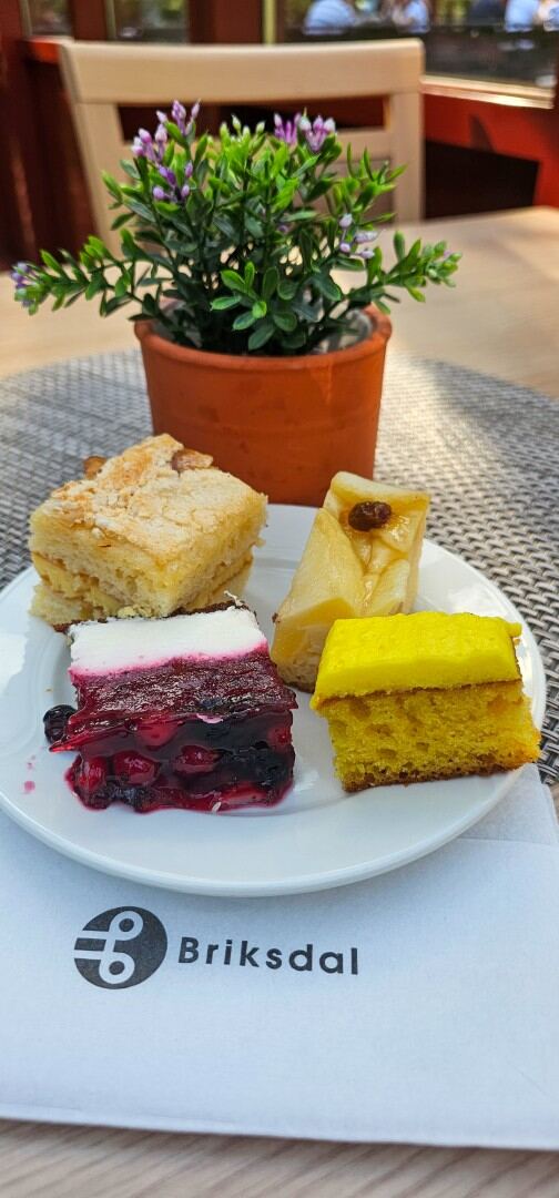 Briksdal cakes