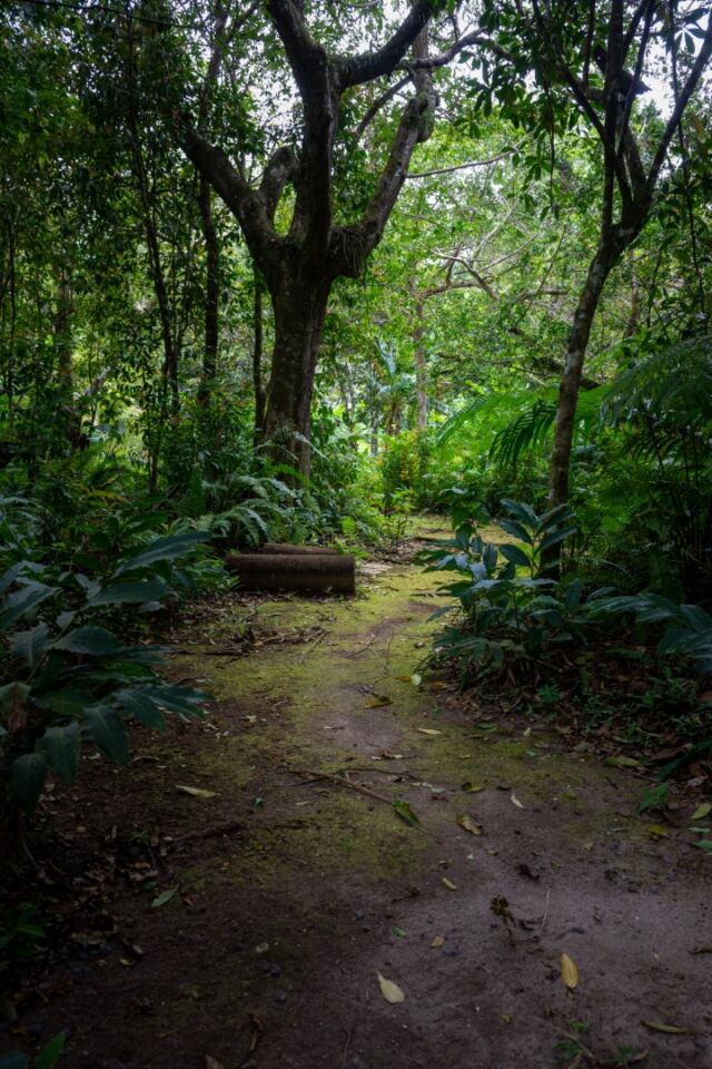 Liamuga Natural Farm tour (44)
