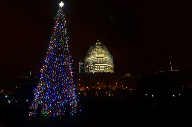 Capitol-Christmas-Tree-2-