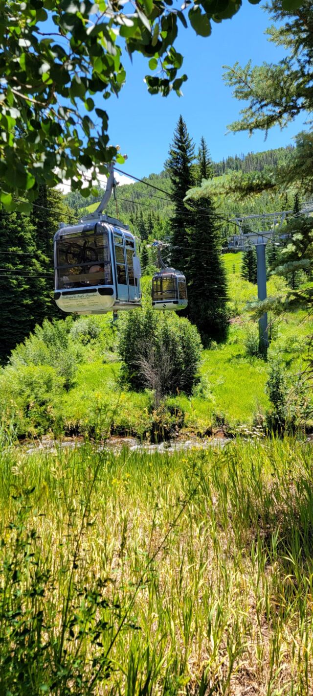 Gondola views 4