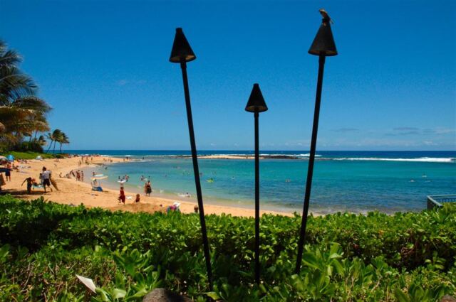 Beach view