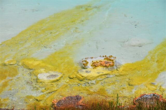 Imperial Geyser (6)