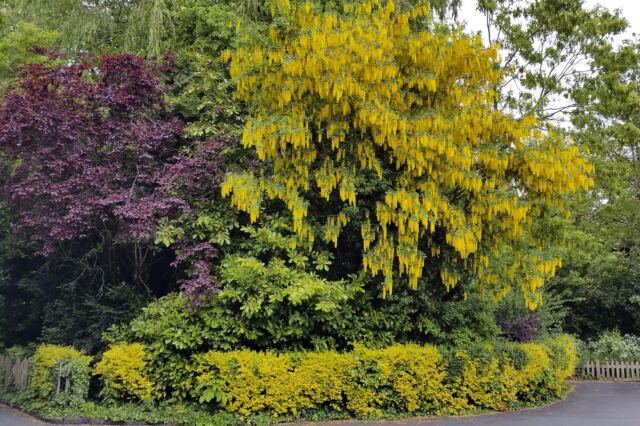Anne Hathaway's Cottage - Gardens 6