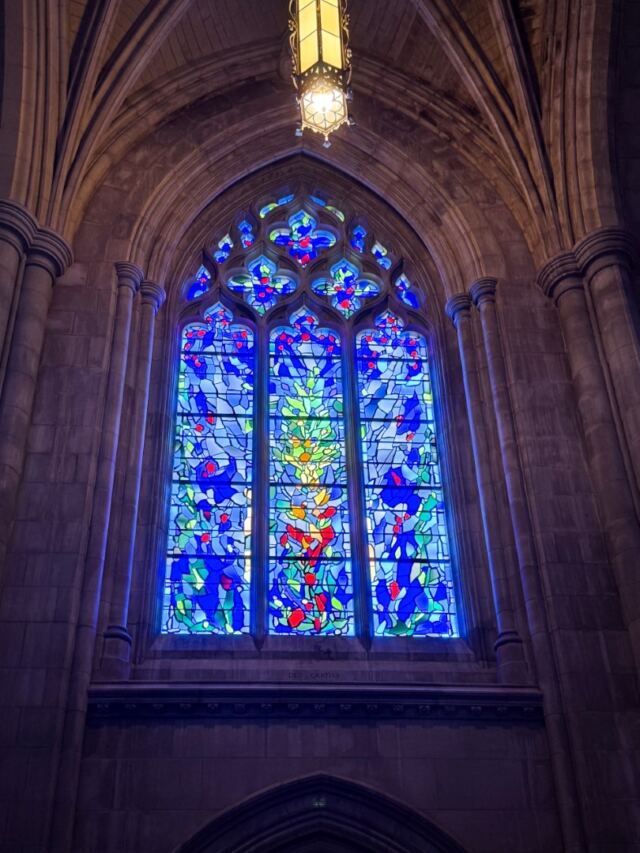 Cathedral stained glass 1