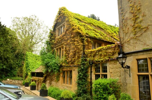 Charingworth ivy-covered back of Manor