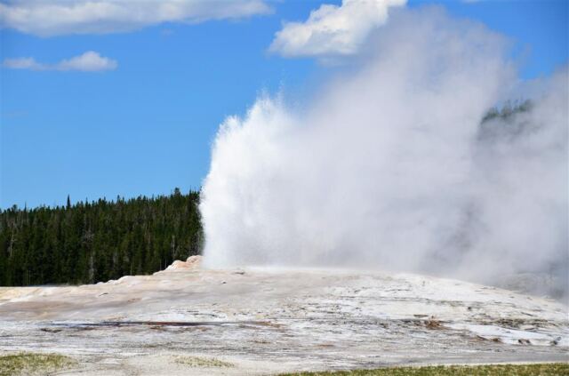 Old Faithful eruption (12)