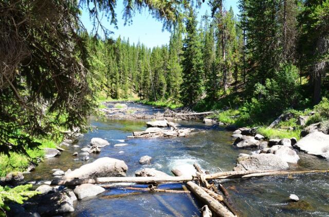 Downstream of Moose Falls