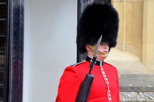Royal Guards for the Crown Jewels (2)
