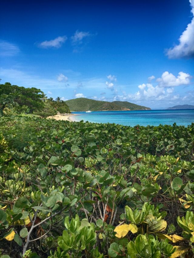 Last morning on Mahoe Bay 9