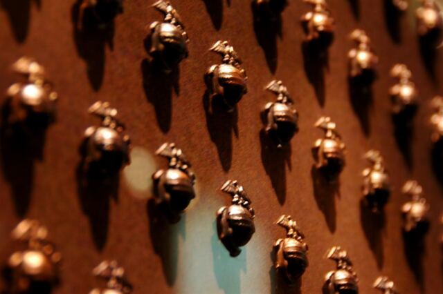 Globe and Anchor pins