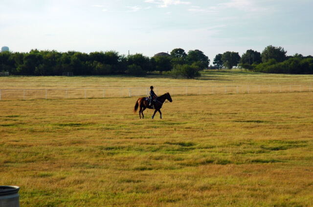 junior-cowboy