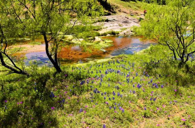 Willow Loop valley 22