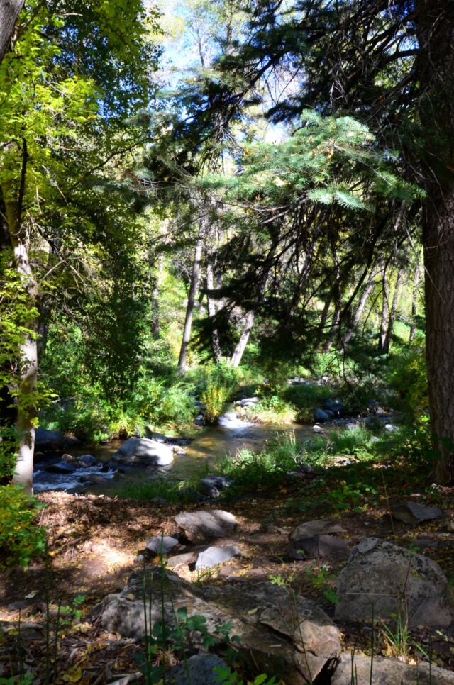 Junipine Creek views (15)