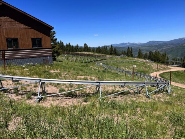 Forest Flyer - mountain coaster