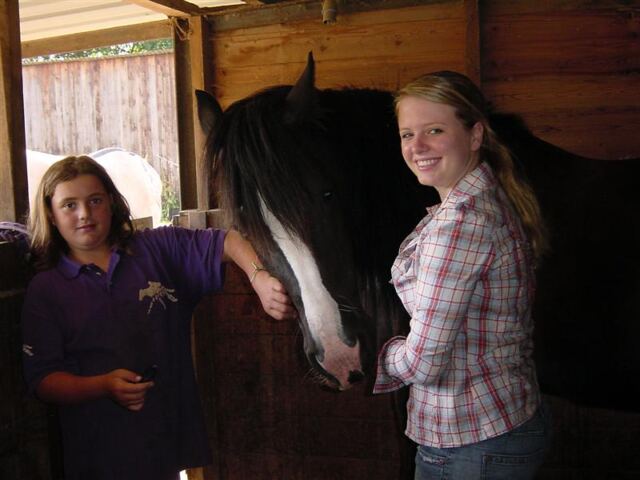 Preparing the horse