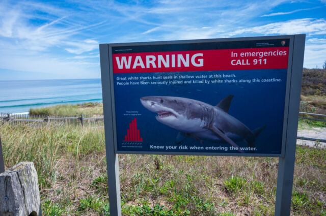 Warning!