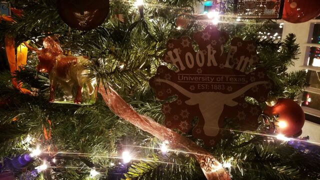 Longhorn-tree-02