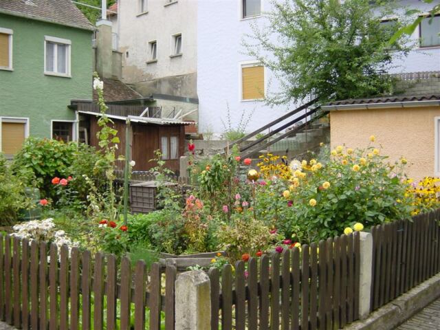 garden
