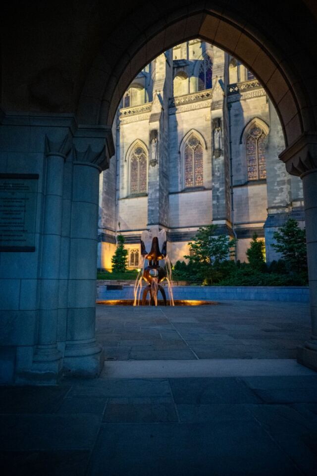 The Cathedral Garth 17