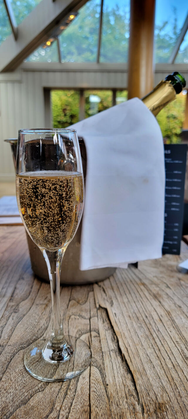 Pre-dinner champagne