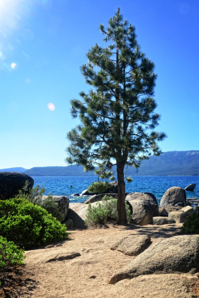 Sand Harbor 10