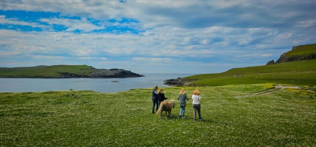 The Shetland Pony Experience 71